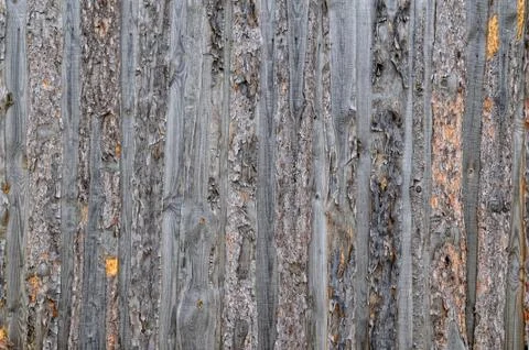 Pine slabs background Stock Photos