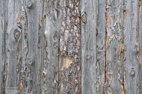 Pine slabs background Stock Photos