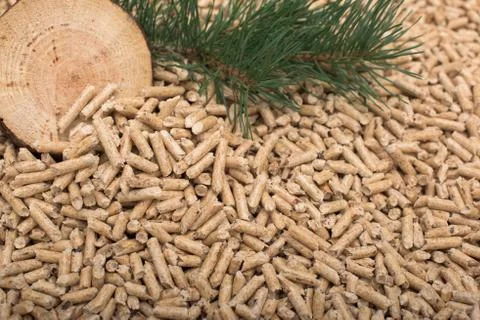 Pine slice, twig and conch on wooden pellets Stock Photos