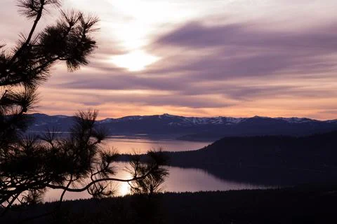 Pine Sunset Stock Photos