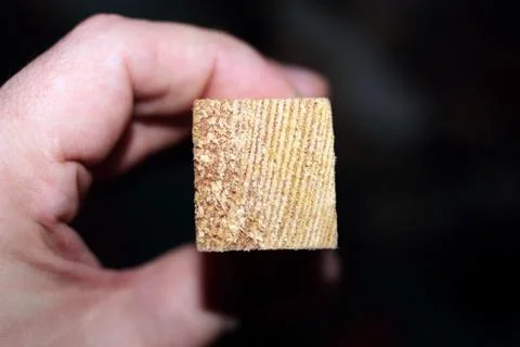 Pine timber in hand Stock Photos