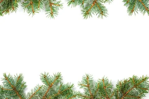 Pine top bottom border festive design Stock Photos