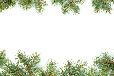 Pine top bottom border festive design Stock Photos