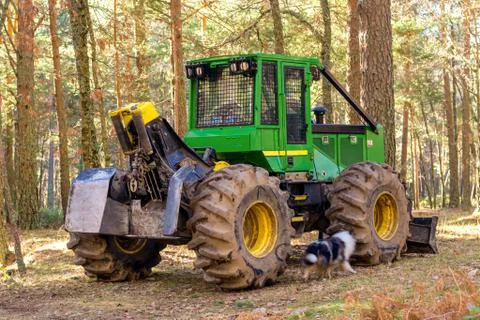 Pine trawling forestry machine resting on the weekend Foto stock