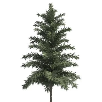 Pine tree 3d illustration isolated on the white background Stock Illustration
