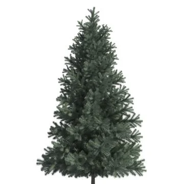 Pine tree 3d illustration isolated on the white background Stock Illustration