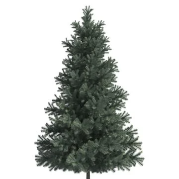 Pine tree 3d illustration isolated on the white background Stock Illustration