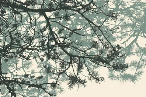 Pine tree and branches silhouette. detailed vector illustration Stock Illustration