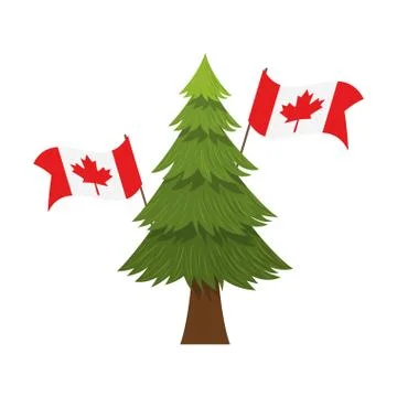 Pine tree and canada symbol design Stock Illustration