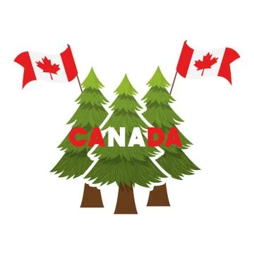 Pine tree and canada symbol design Stock Illustration
