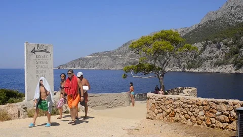 Pine Tree and tourists in Sveta Nedilja 動画素材 79790699