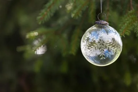 Pine tree and white buble Stock Photos