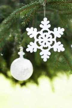 Pine tree and white buble with snoflake Stock Photos