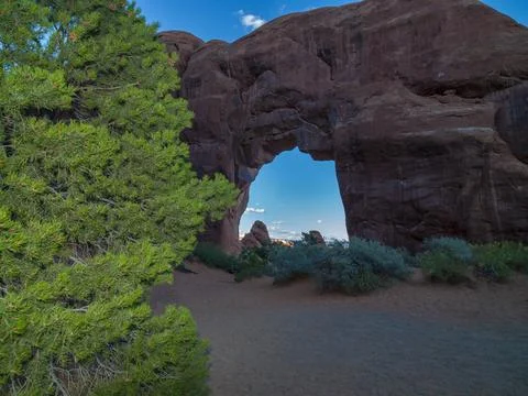 PINE TREE ARCH, ARCHES N.P. Stock Photos