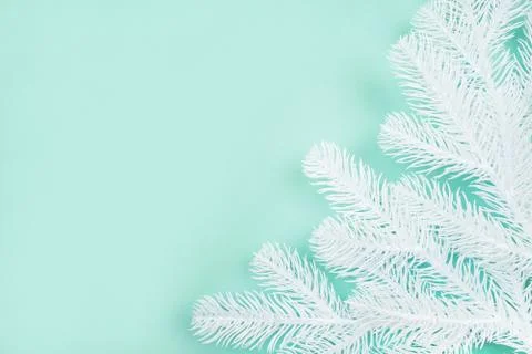 Pine tree background Stock Photos