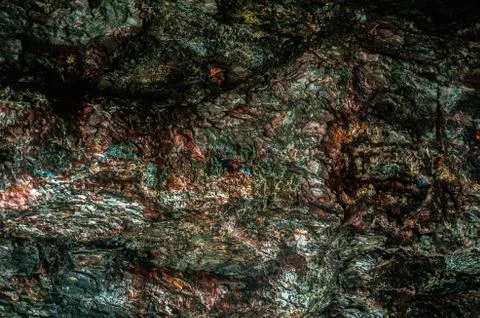 Pine tree bark close up Stock Photos