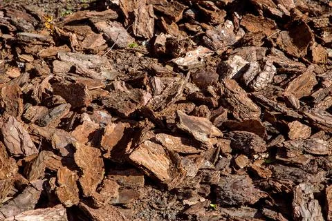 Pine tree bark mulching heap of pieces of wood compost for gardening. Stock Photos