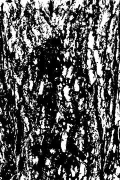 Pine tree bark texture Stock Illustration