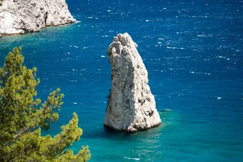 Pine tree with blue sea background Turkey Stock Photos