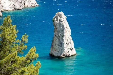 Pine tree with blue sea background Turkey Stock Photos