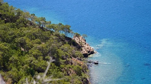 Pine tree with blue sea laguna background Turkey Stock Footage