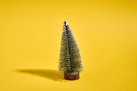 Pine tree on bold yellow background with shadow. Christmas modern minimal Stock Photos
