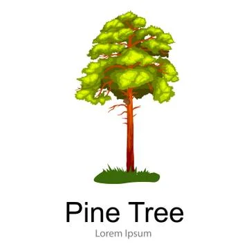 Pine Tree with branch and leafs in the wild forest outdoors. Stock Illustration