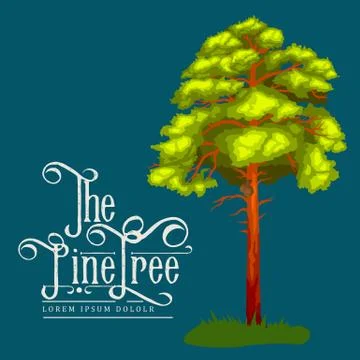 Pine Tree with branch and leafs in the wild forest outdoors. Isolated ecolo.. Stock Illustration
