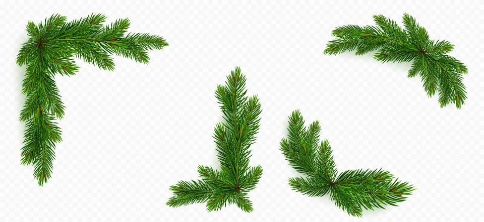 Pine tree branch border. green fir twigs frame 스톡 일러스트