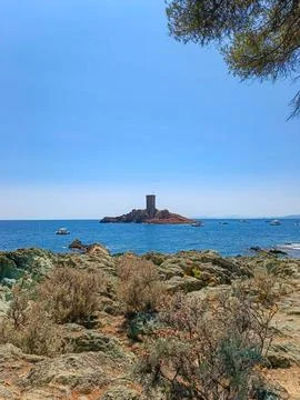 Pine tree branch framing le d'Or tower in blue Mediterranean sea Stock-Fotos