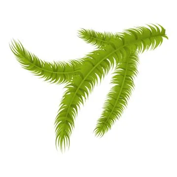 Pine tree branch icon, isometric style Stock Illustration