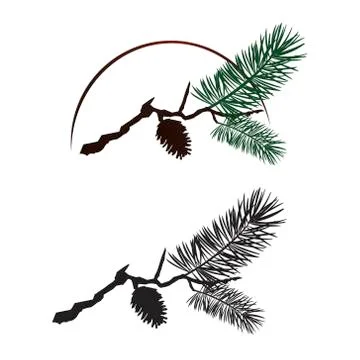 Pine tree branch Stock Illustration