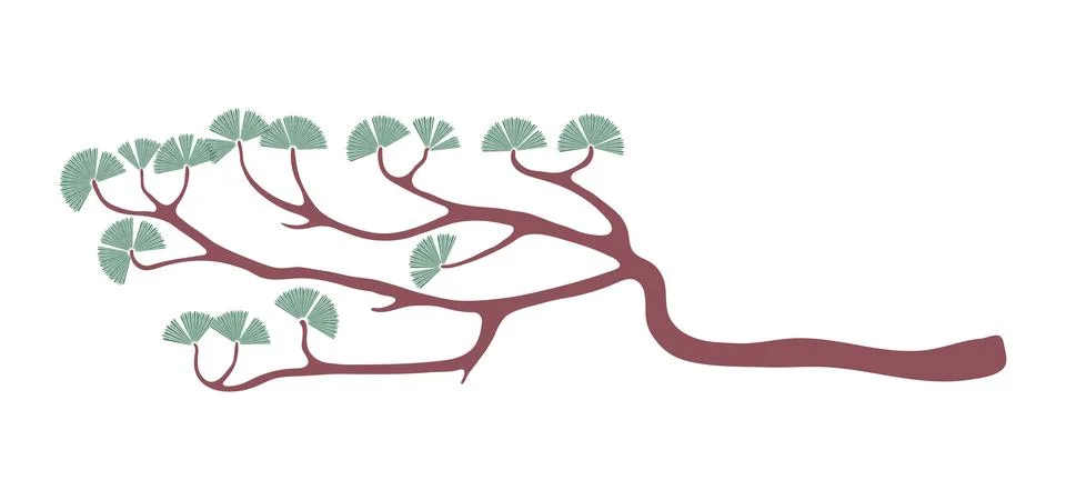 Pine tree branch illustration. Stock Illustration