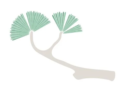 Pine tree branch illustration. Stock Illustration