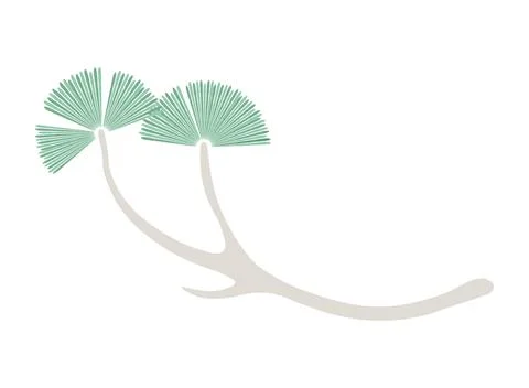 Pine tree branch illustration. Stock Illustration