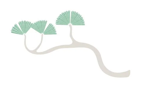 Pine tree branch illustration. Stock Illustration