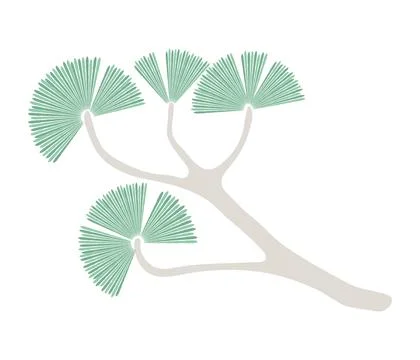Pine tree branch illustration. Stock Illustration
