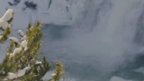Pine tree branches adorned with ice near a cascading waterfall in winter Stock Footage 288479205