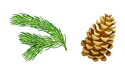 Pine tree branches and cone. Christmas decoration element cartoon vector イラスト素材