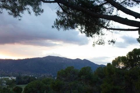 Pine tree branches and foliage with distant hillside homes and sunset cloud with Stock Photos