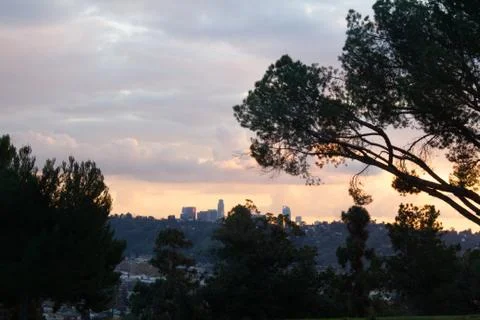 Pine tree branches and foliage with distant hillside homes and sunset cloud Stock Photos
