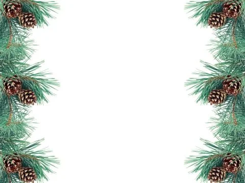 Pine tree branches border with cones isolated on white background Stock Photos