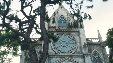 Pine tree branches framing french style church facade, highlighting rose window Stock Footage 315701987