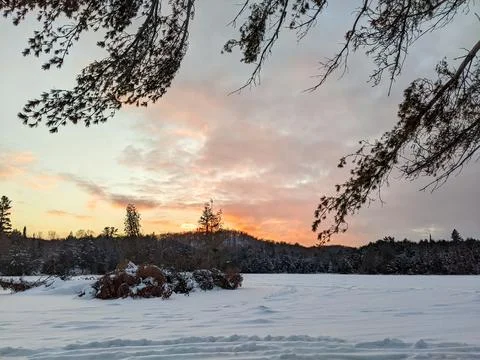 Pine Tree Branches Framing Frozen Snow Covered Lake at Sunset in Winter Fores Stock Photos