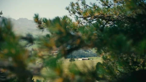 Pine Tree Branches Framing a Scenic Alpine Valley View in the Mountains 库存影片 331166063