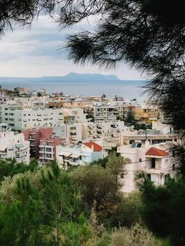 Pine tree branches framing view of colorful residential buildings in Rethymno Stock Photos