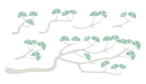 Pine tree branches isolated elements collection Stock Illustration