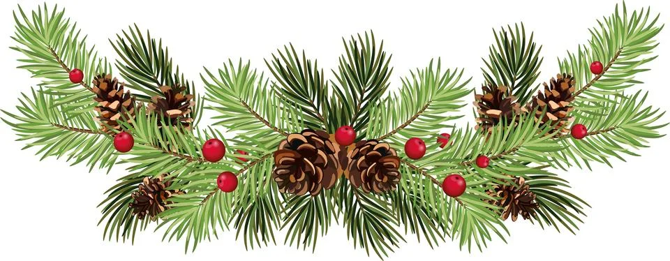 Pine tree branches with pine cones, isolated on white background, festive e.. Stock Illustration