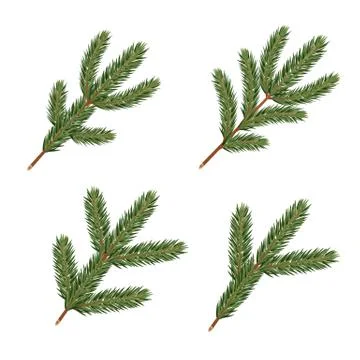 Pine tree branches. Realistic xmas decoration elements. Stock Illustration
