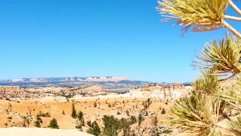 Pine Tree Branches Swaying in Wind With Majestic Bryce Canyon Stock Footage 337321324